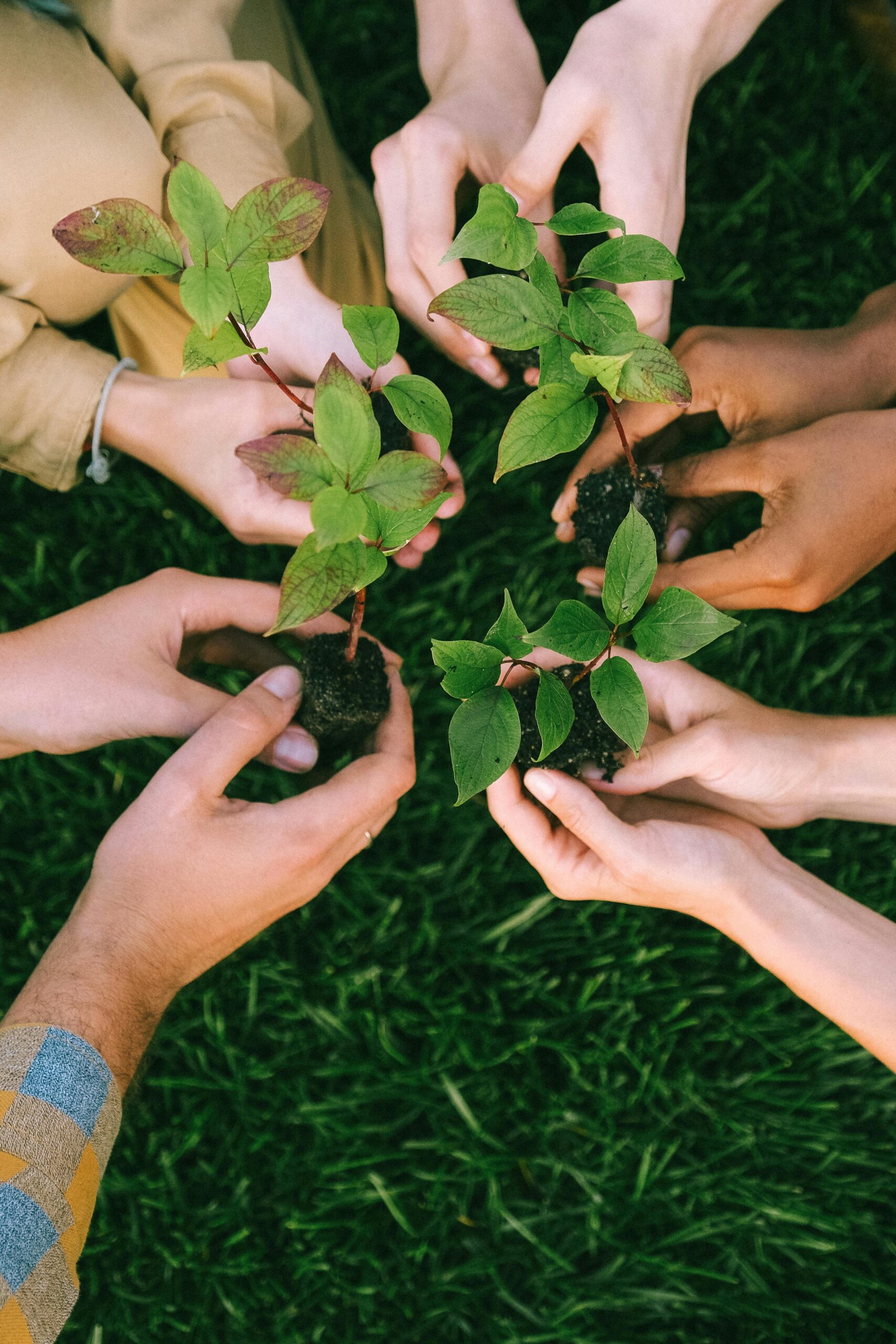 0210AME image